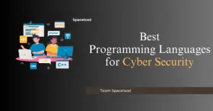 Best Programming Languages for Cyber Security